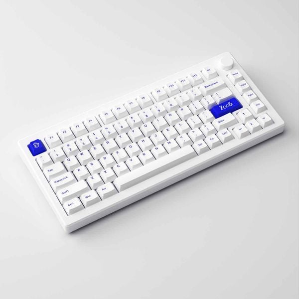  Bàn phím cơ AKKO MOD007 PC Blue on White Akko Cs Piano Switch 