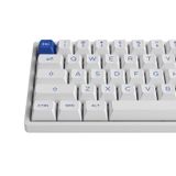  Bàn phím cơ AKKO 3068B Plus Blue on White Jelly Purple 