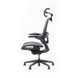  Ghế công thái học Epione Easy Chair v2.0 - Đen 