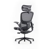  Ghế công thái học Epione Easy Chair v2.0 - Đen 