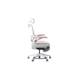  Ghế công thái học Epione Easychair Blossom 