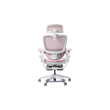  Ghế công thái học Epione Easychair Blossom 