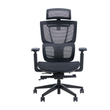  Ghế công thái học Epione ErgoChair Pro Black 2.0 