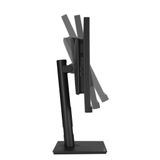  Màn hình ASUS ProArt PA348CGV 34" IPS 2K 120Hz USBC chuyên đồ họa 