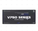  Bàn phím Rapoo V750Pro-98 RGB BPG 