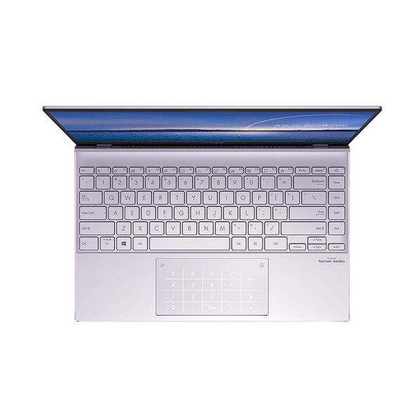  Laptop Asus ZenBook UX425JA BM502T 