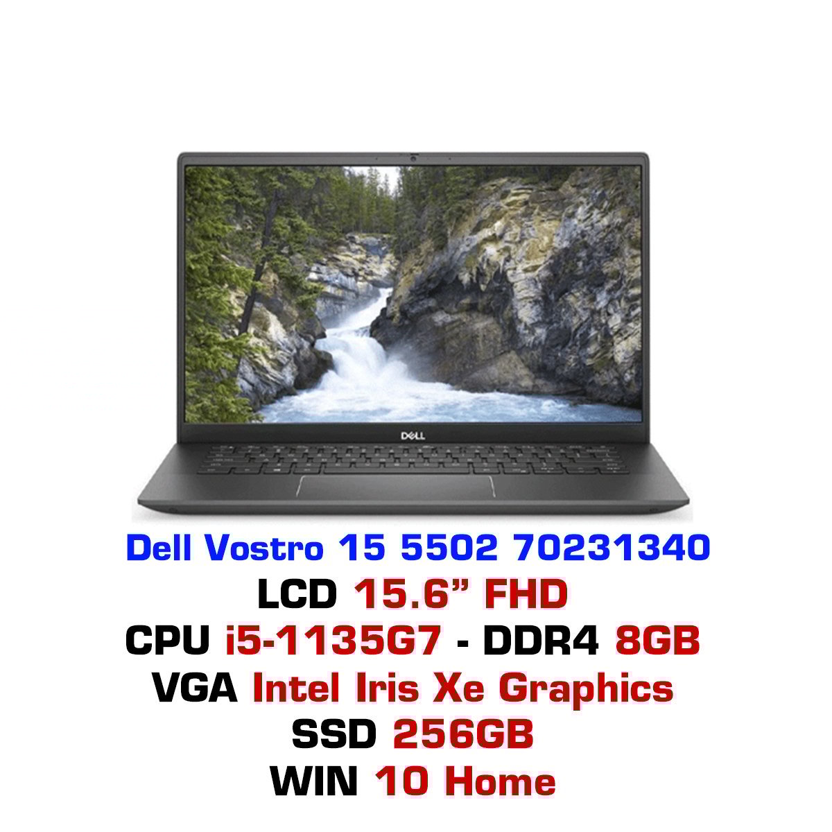 Laptop Dell Vostro 15 5502 70231340