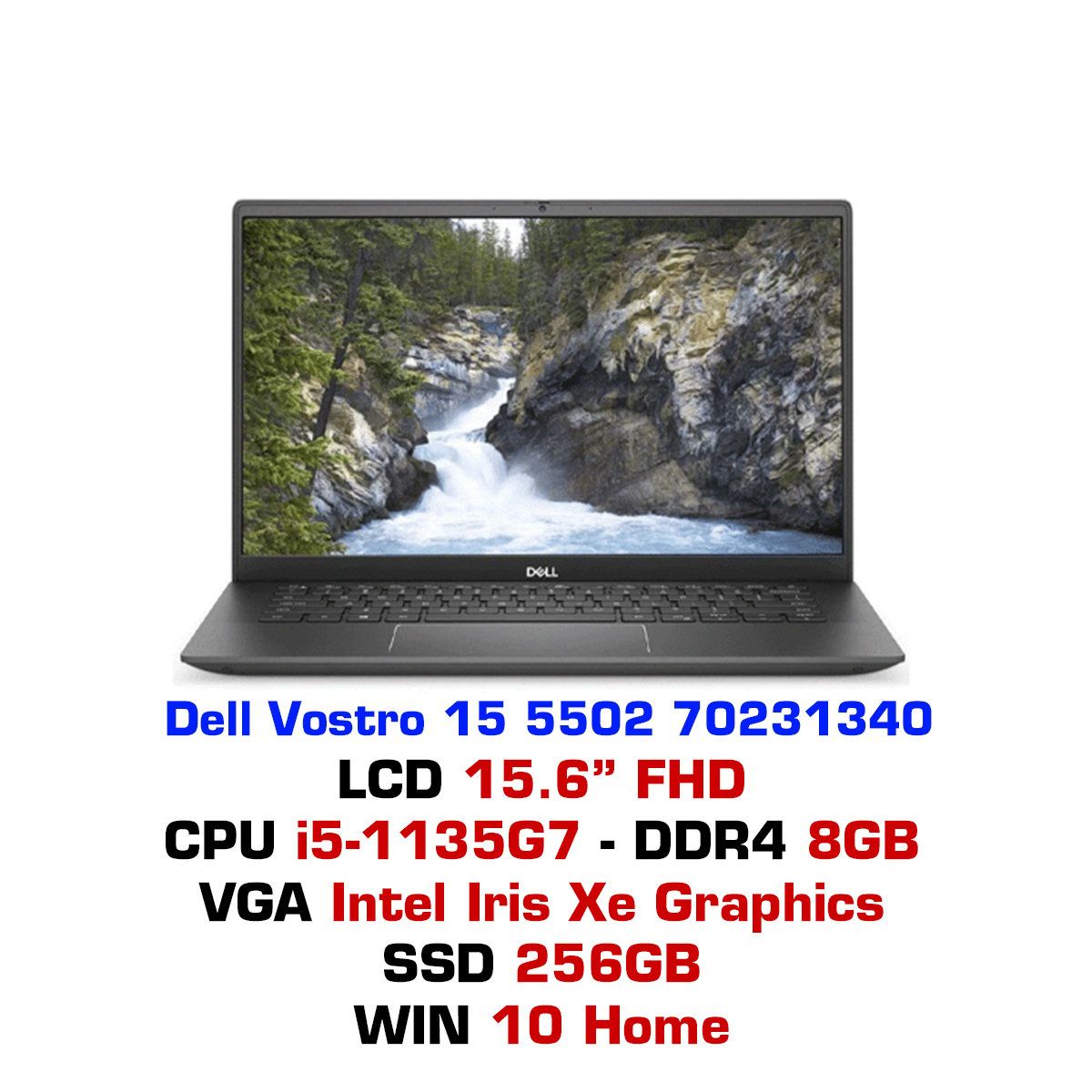 Laptop Dell Vostro 15 5502 70231340