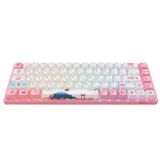  Bàn phím cơ AKKO 3068 v2 World Tour Tokyo R2 RGB – Bluetooth 5.0 