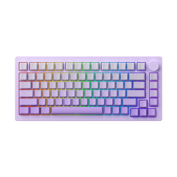 Bàn phím MonsGeek M1W HE-SP V3 Lilac Purple Akko Cream Yellow V2 switch