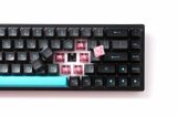  Bàn phím cơ AKKO 3068B Plus Black&Cyan Jelly Pink 