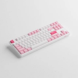  Bàn phím cơ AKKO 3087 Plus Prunus Lannesiana Akko CS Wine Red Switch 