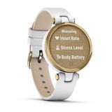  Đồng hồ Garmin Lily Light Gold - White 