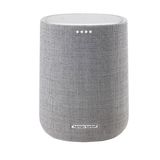  Loa Harman Kardon Citation One 