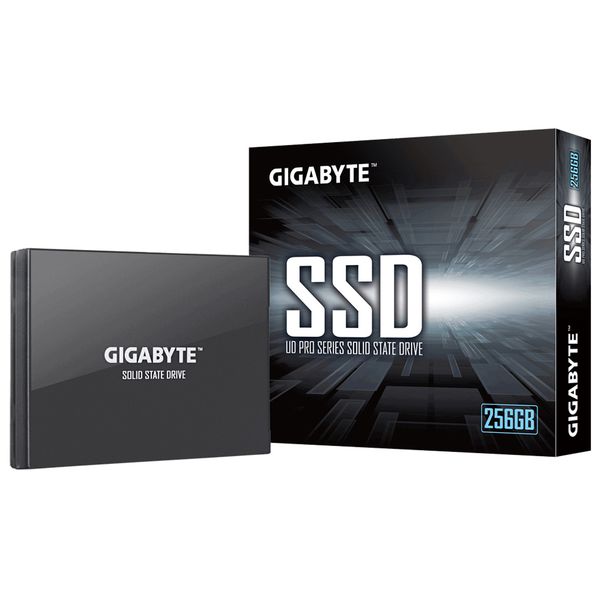  Ổ cứng SSD Gigabyte UD PRO 256GB 