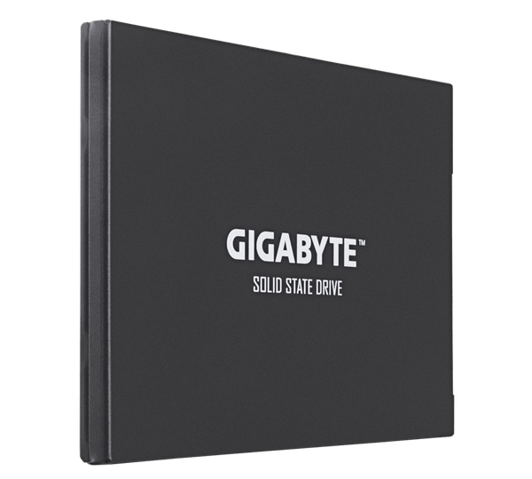  Ổ cứng SSD Gigabyte UD PRO 256GB 