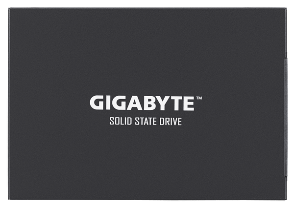  Ổ cứng SSD Gigabyte UD PRO 256GB 