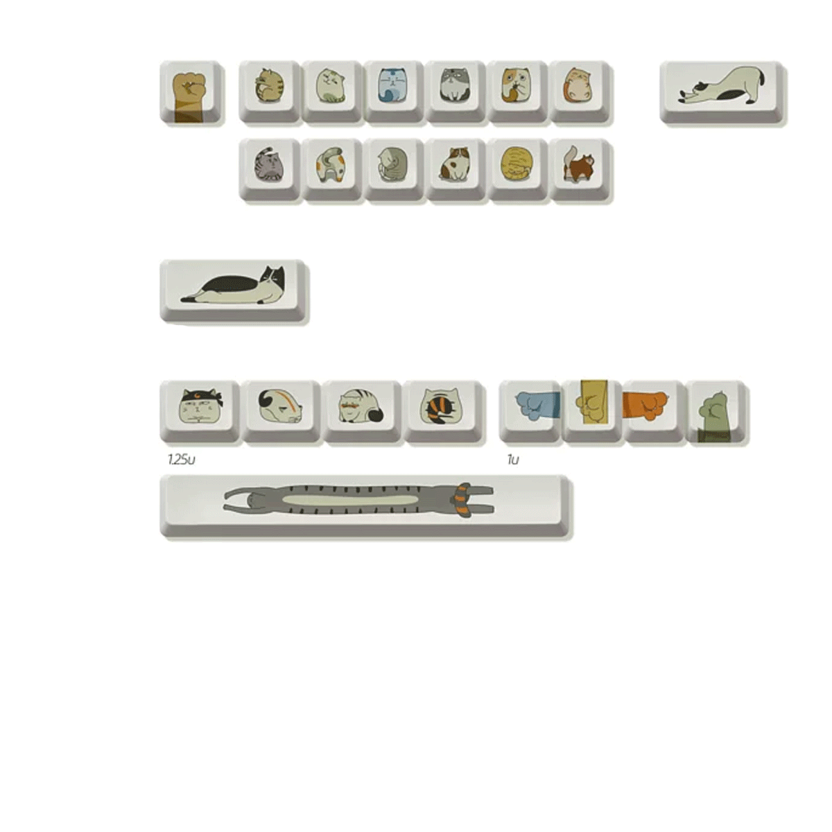 Keycap Qka Space Qkat ( Oem Profile / 24 Nút)