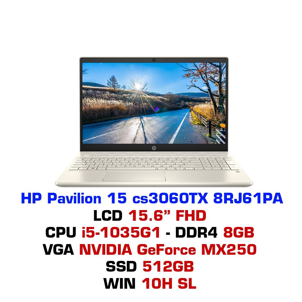 Laptop HP Pavilion 15 CS3060TX 8RJ61PA