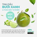  Dầu gội dưỡng tóc bưởi xanh – kích thích mọc tóc, ngăn ngừa rụng tóc Vitacare 