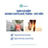  SỤN CÁ MẬP SHARK CARTILAGE 750MG, BỔ KHỚP CỦA COSTAR NHẬP KHẨU CHÍNH HÃNG, ÚC, HỘP 365 VIÊN 