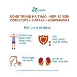  Viên uống đông trùng hạ thảo Cordyceps + Shitake + Ashwaganda tăng cường sinh lý nhập khẩu chính hãng, của felix, mỹ, hộp 30 viên 