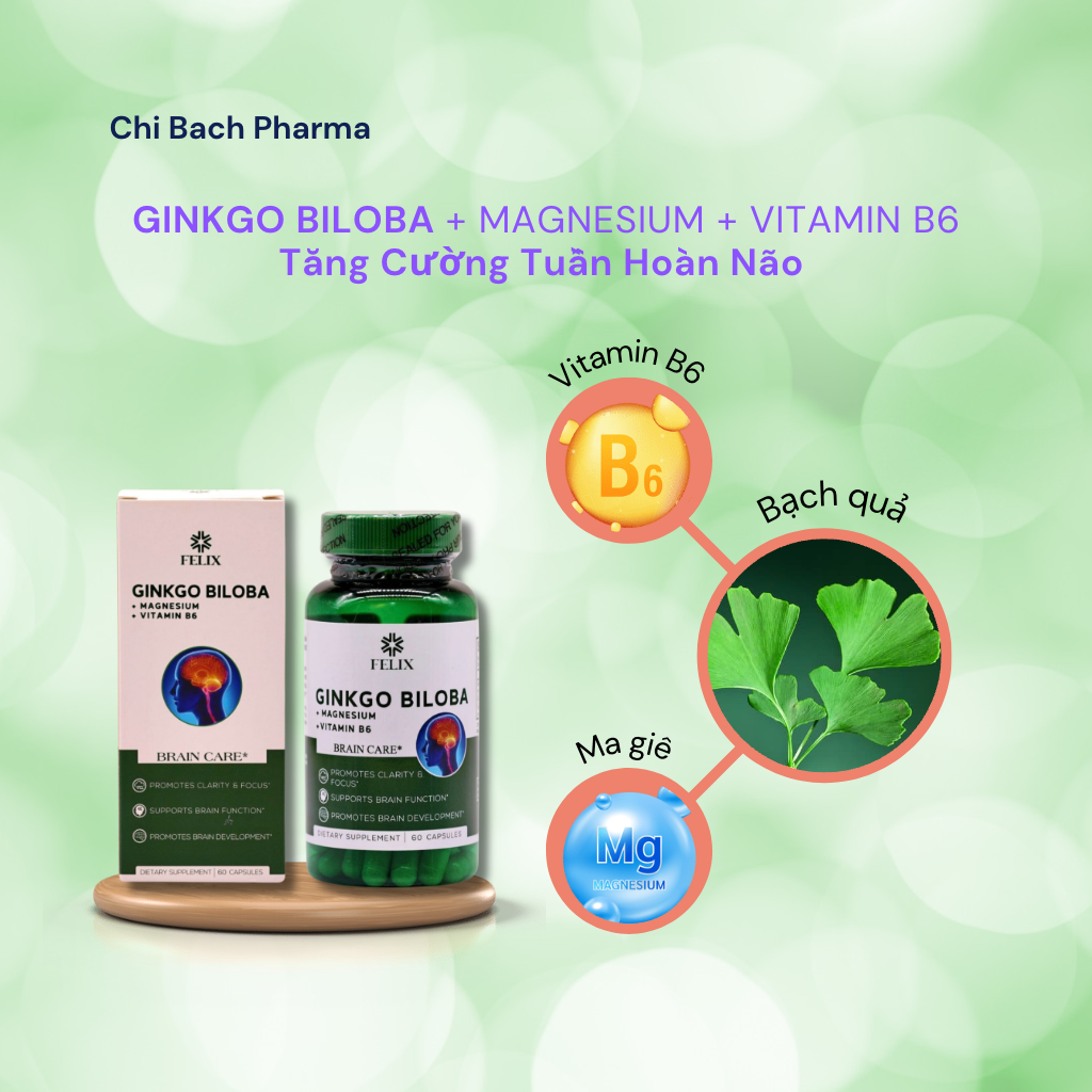 VIÊN UỐNG GINKGO BILOBA + MAGNESIUM + VITAMIN B6 TĂNG CƯỜNG TUẦN HOÀN