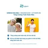 Viên uống Ginkgo Biloba + Magnesium + Vitamin B6 tăng cường tuần hoàn não nhập khẩu chính hãng của felix, mỹ 