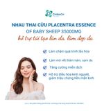  VIÊN UỐNG NHAU THAI CỪU PLACENTRA ESSENCE OF BABY SHEEP 35000MG, LÀM ĐẸP DA CỦA COSTAR NHẬP KHẨU CHÍNH HÃNG, ÚC 