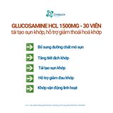  VIÊN UỐNG COSTAR GLUCOSAMINE HCL 1500MG, BỔ KHỚP CỦA COSTAR NHẬP KHẨU CHÍNH HÃNG, ÚC, HỘP 30 VIÊN 