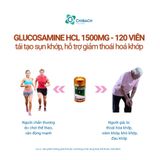  Viên uống Costar Glucosamine HCL 1500mg, bổ khớp của costar nhập khẩu chính hãng, úc, hộp 120 viên 
