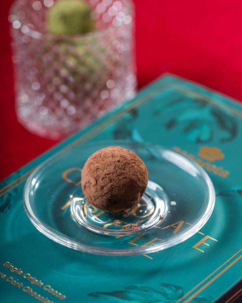 CHOCOLATE TRUFFLE (15v)