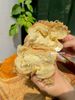 BÁNH MÌ SỐT PHOMAI TAN CHẢY