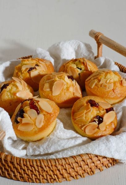 FINANCIER NAM VIỆT QUẤT