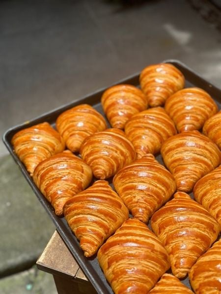 BÁNH SỪNG BÒ - CROISSANT PLAIN
