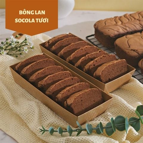 BÔNG LAN SOCOLA TƯƠI