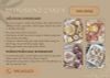 LỚP DECOR SET BLOOM (GATO & CUPCAKE)