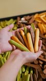 COOKIE LƯỠI MÈO 250GR