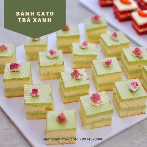 (TT) SET MIẾNG CẮT 25M