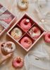 SET FINANCIER DONUT 20/10