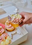 SET CUPCAKES 20/10