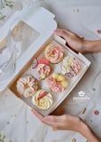 SET CUPCAKES 20/10