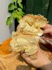 BÁNH MÌ SỐT PHOMAI TAN CHẢY
