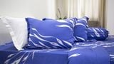  Bộ Drap Giường Tencel Lụa lông công xanh đậm - Drap Giường Tencel Ngọc Hạnh 