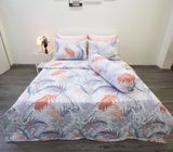  Bộ Chăn Ga Microfiber Lá Cọ Hồng 