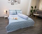  Bộ Drap Giường Microfiber Cành Đào Xanh Mint 