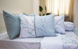  Bộ Drap Giường Microfiber Cành Đào Xanh Mint 