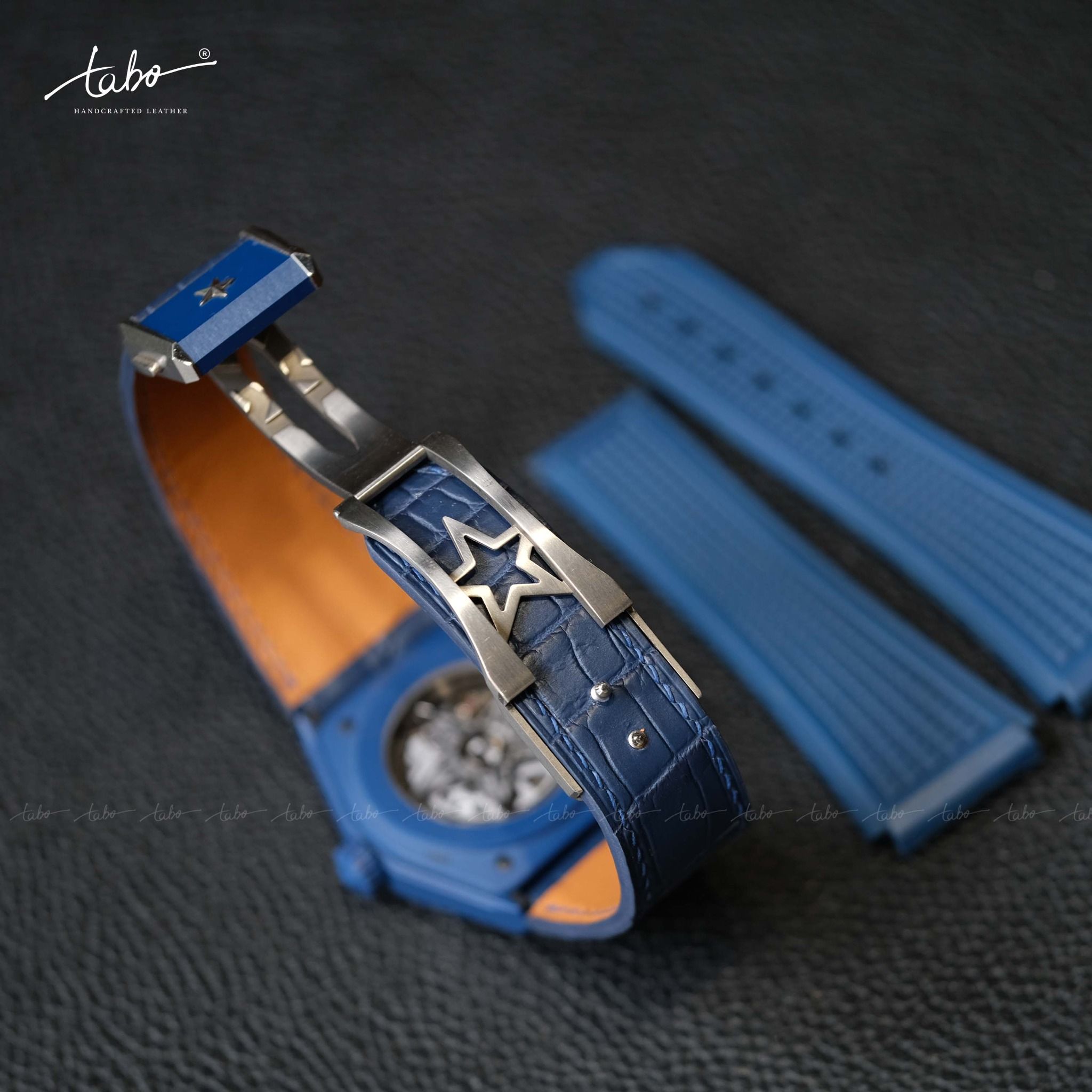  ZENITH – MS01 