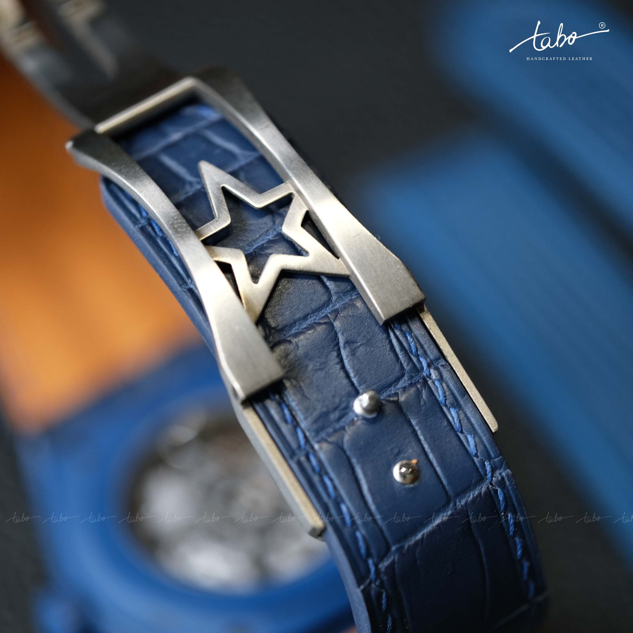  ZENITH – MS01 