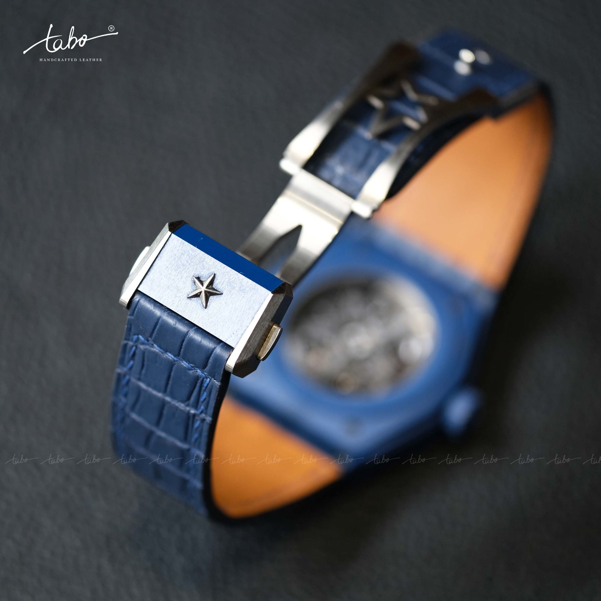  ZENITH – MS01 